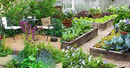 How to Start a Garden in a Small Space