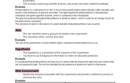 How to Write a Scientific Report