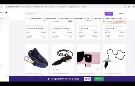 How to Start a Dropshipping Business with Spocket