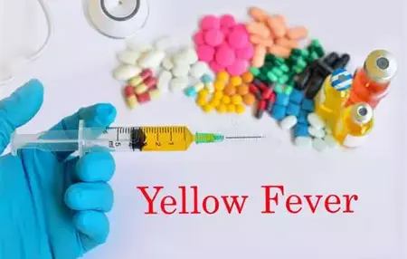 How to Get Rid of a Fever