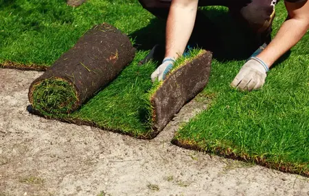 How to Install Sod