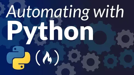 How to automate tasks with Python
