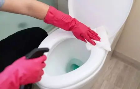 How to Clean a Toilet
