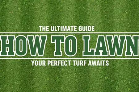 How to Properly Water Your Lawn