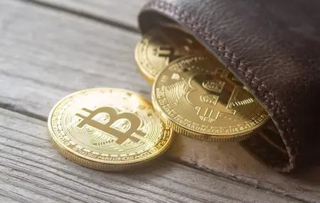 How to Use a Cryptocurrency Wallet