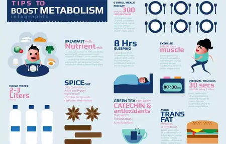 How to speed up your metabolism