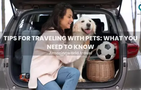 How to Travel with Your Pet