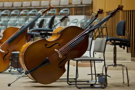 How to Learn to Play the Double Bass