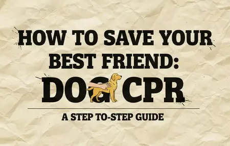 How to Give a Dog CPR