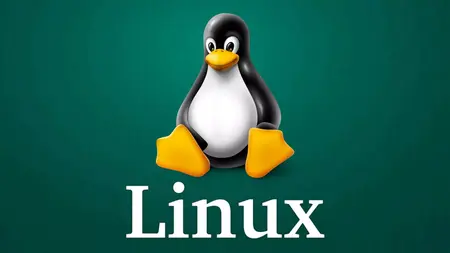 How to Use Linux