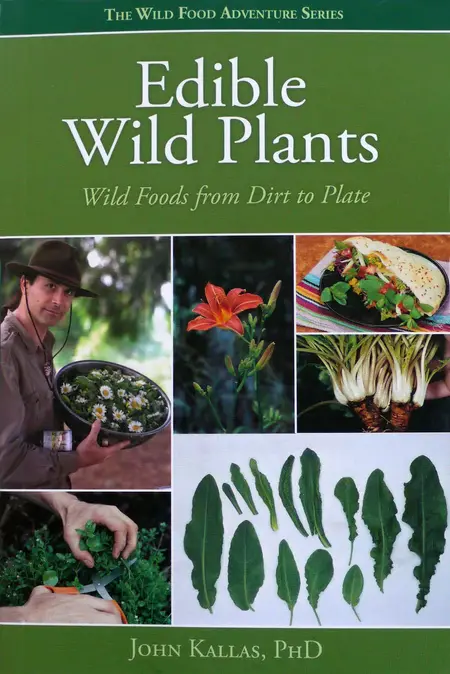 How to Identify Edible Wild Plants