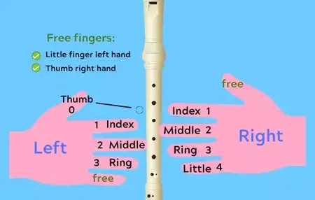 How to Learn to Play the Electronic Recorder