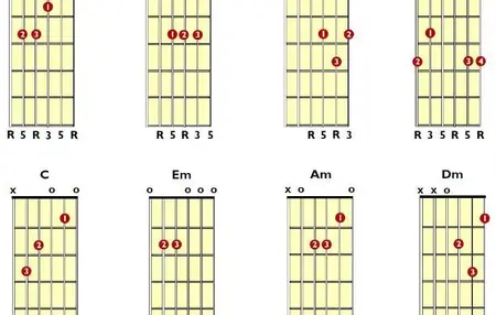 How to Learn to Play the Bass Guitar