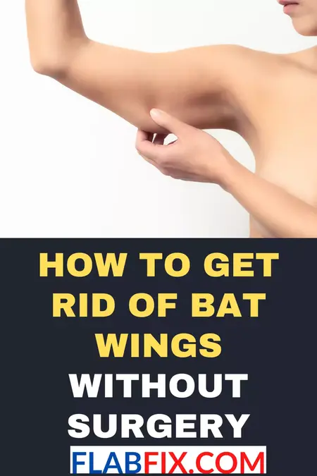 How to Get Rid of a Bat