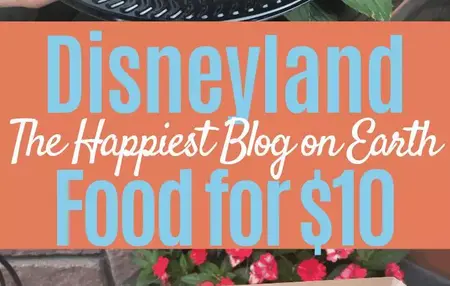 How to Create a Budget for Your Vacation to Disneyland