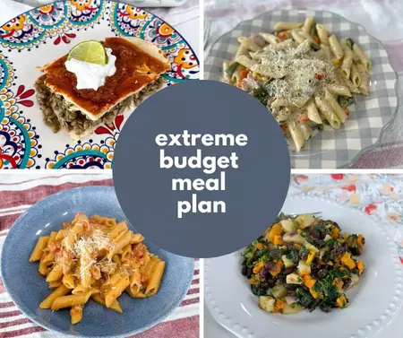 How to Make a Meal on a Budget