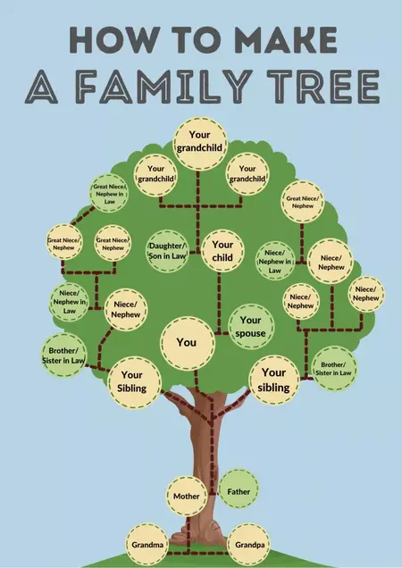 How to Build a Family Tree
