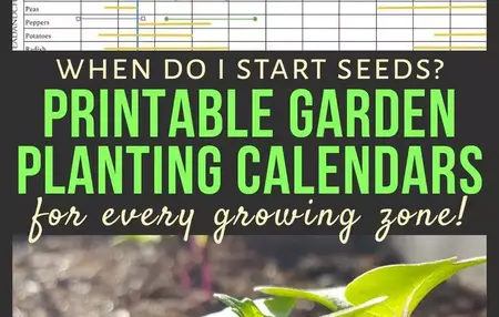 How to Start a Garden from Seed