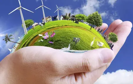 How to Reduce Your Carbon Footprint