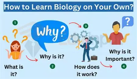 How to Learn About Biology