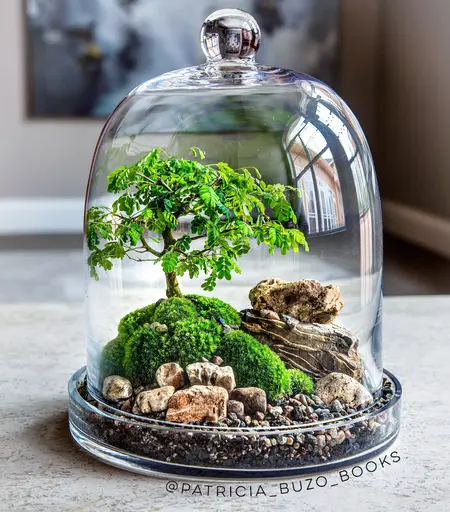 How to Make a Terrarium for Kids