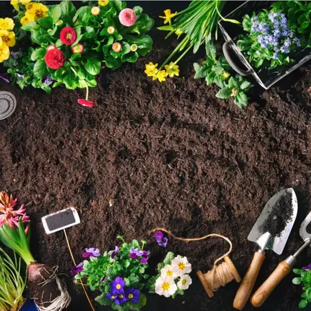 How to Choose the Right Soil for Your Garden