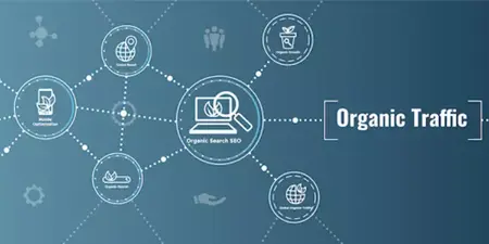 How to Use SEO to Drive Organic Traffic to Your Website