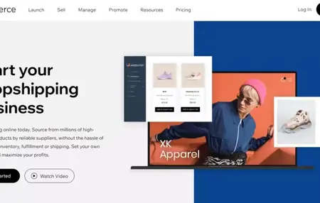 How to Start a Dropshipping Business on Wish
