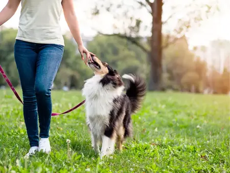 How to Manage Your Time Effectively During the Holidays