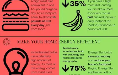 How to Reduce Your Carbon Footprint