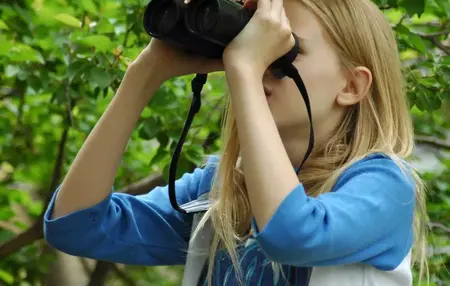 How to Identify Birds