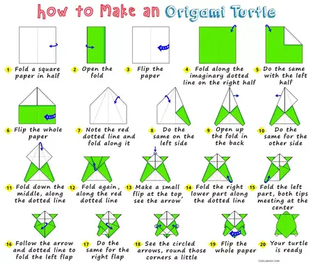 How to Make a Simple Origami Turtle