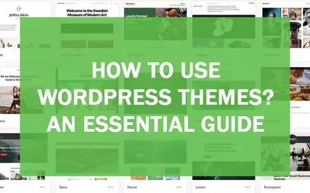 How to Use a WordPress Theme