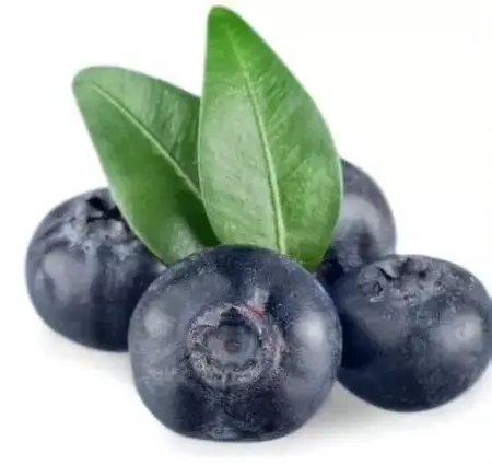 How to Learn to Play Bridge