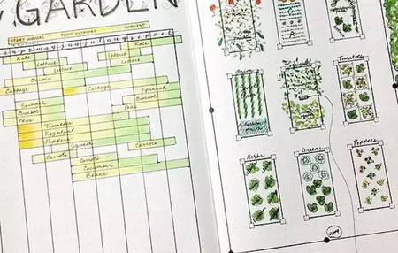 How to Start a Garden Journal