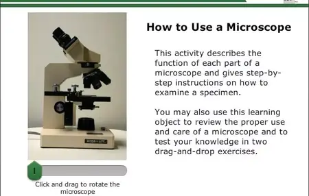 How to Use a Microscope Safely