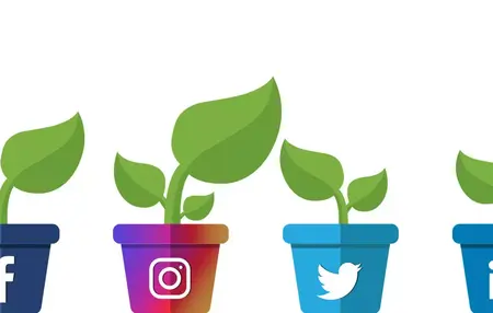 How to Grow Your Social Media Following