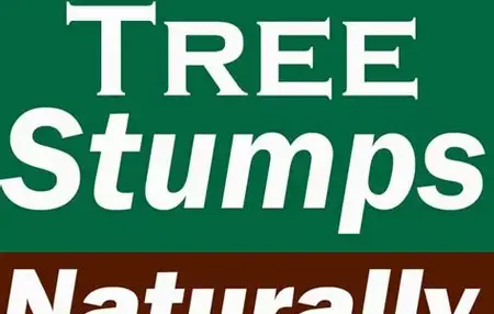 How to Get Rid of a Dead Tree