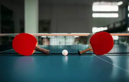 How to Learn to Play Table Tennis