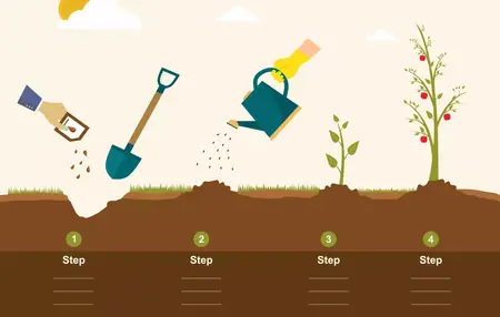 How to Start a Garden from Seed