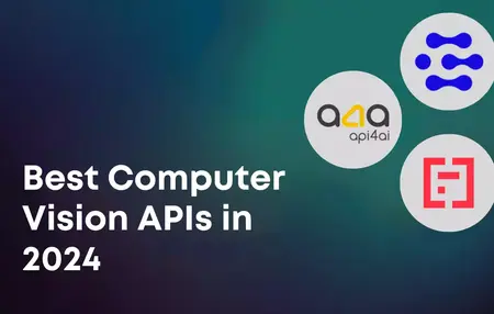 How to Use a Computer Vision API