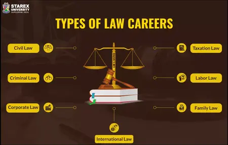 How to Get a Job in the Law Industry
