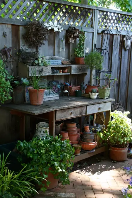 How to Start a Garden in a Small Space