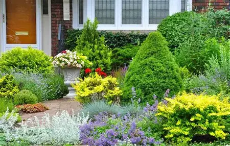 How to Landscape Your Yard