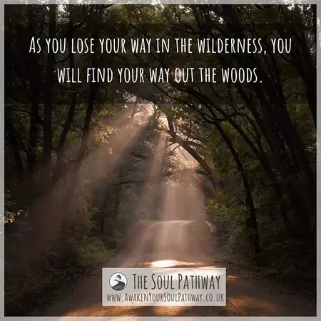 How to Find Your Way in the Wilderness