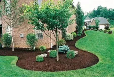 How to Learn to Do Basic Landscaping