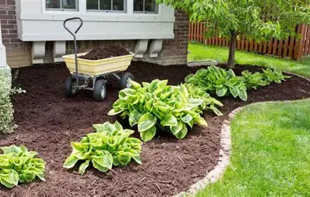 How to Use a Mulch