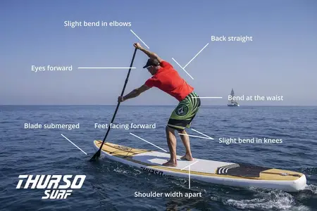 How to Use a Stand-Up Paddleboard