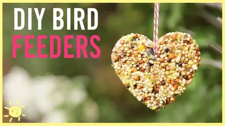 How to Make Your Own Bird Feeders