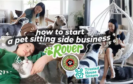 How to Start a Pet Sitting Business